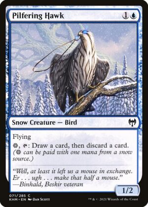 Pilfering Hawk - Foil<br /><span class="collector-number">Collector No. </span>