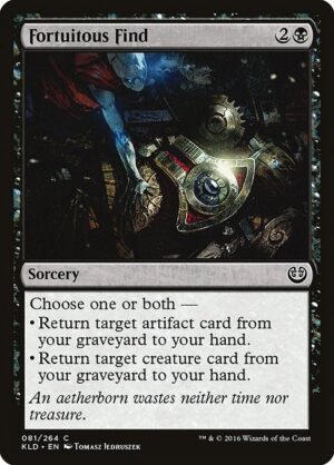 Fortuitous Find<br /><span class="collector-number">Collector No. </span>
