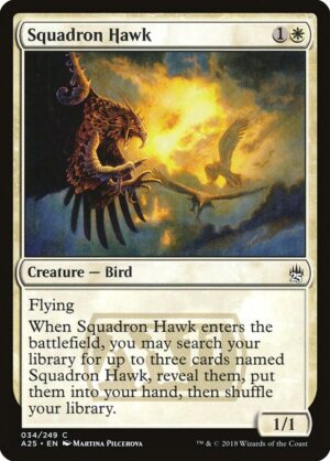 Squadron Hawk - Foil<br /><span class="collector-number">Collector No. 34</span>