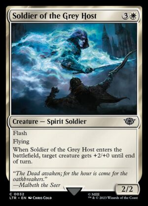 Soldier of the Grey Host<br /><span class="collector-number">Collector No. </span>