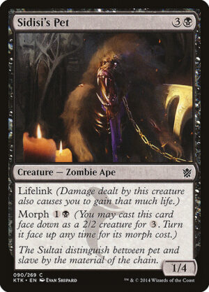 Sidisi's Pet<br /><span class="collector-number">Collector No. </span>