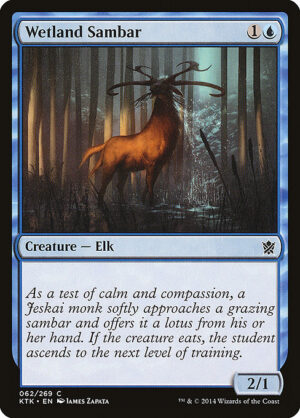 Wetland Sambar<br /><span class="collector-number">Collector No. </span>