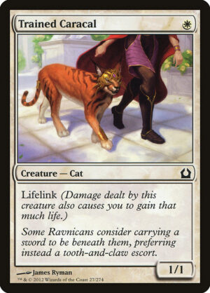 Trained Caracal<br /><span class="collector-number">Collector No. 27</span>