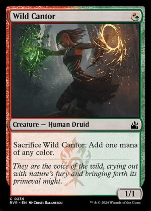 Wild Cantor<br /><span class="collector-number">Collector No. 239</span>