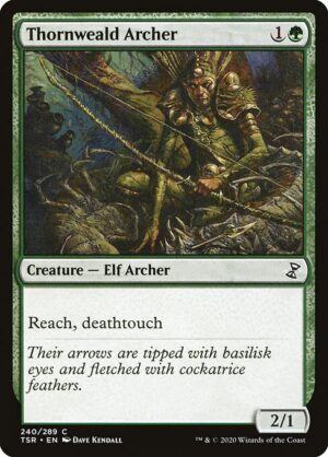 Thornweald Archer - Foil<br /><span class="collector-number">Collector No. 240</span>