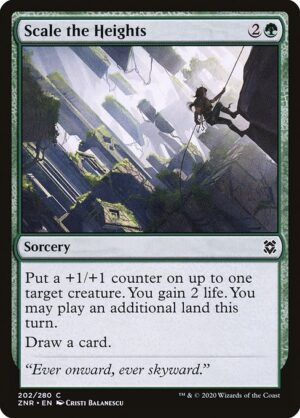 Product - Foil<br /><span class="collector-number">Collector No. 202</span>